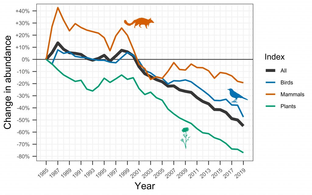 Line graph of change in species abundance from 1985 onwards, with birds, mammals and plants all trending downward.